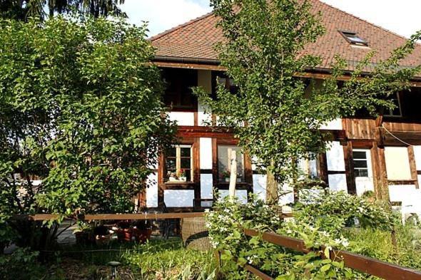 Uetendorf Apartments Saba & Jona מראה חיצוני תמונה